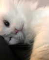 _xixiyx_ Altpins Profile Picture