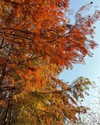 _xixiyx_ Altpins Profile Picture