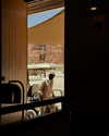 _xixiyx_ Altpins Profile Picture