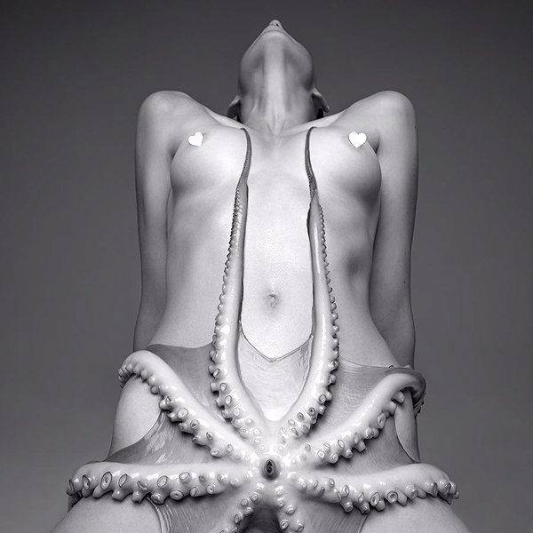 aaronmcpolin instagram image archive image