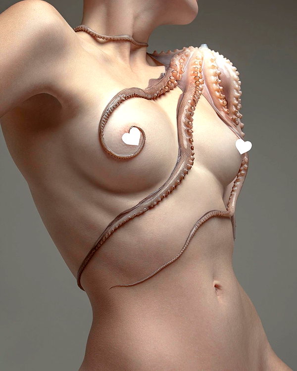 aaronmcpolin instagram image archive image