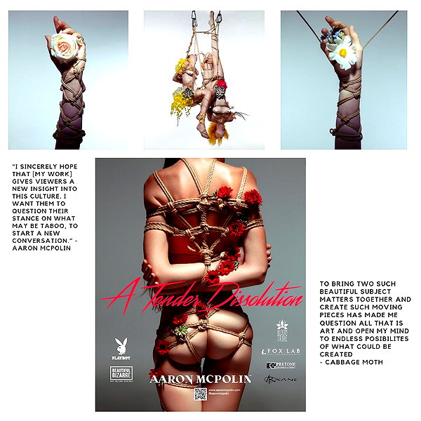 aaronmcpolin instagram image archive image