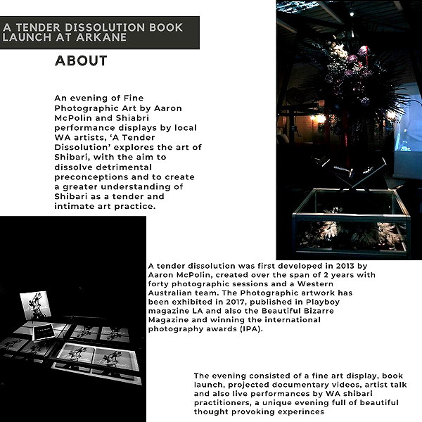 aaronmcpolin instagram image archive image