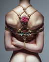 aaronmcpolin Altpins Profile Picture