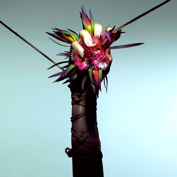 aaronmcpolin instagram image archive image