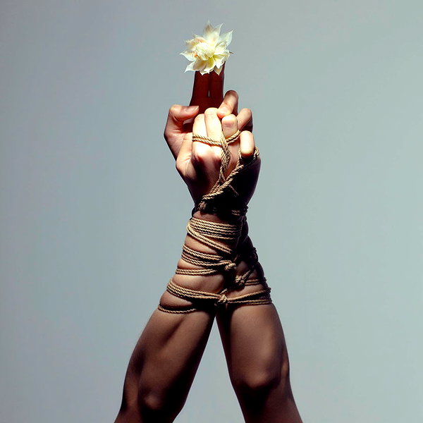 aaronmcpolin instagram image archive image