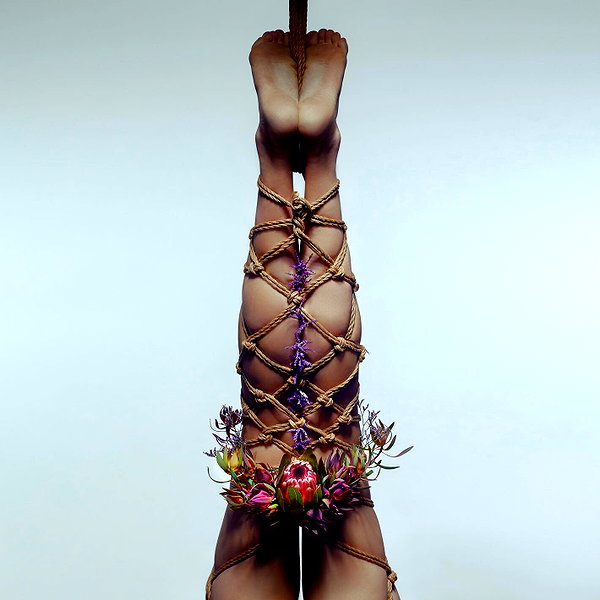 aaronmcpolin instagram image archive image