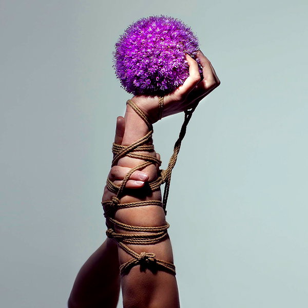 aaronmcpolin instagram image archive image
