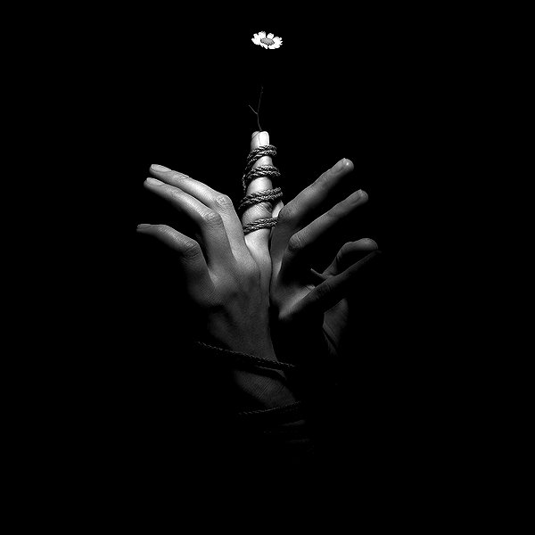 aaronmcpolin instagram image archive image