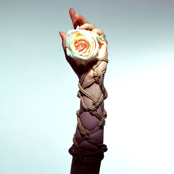 aaronmcpolin instagram image archive image