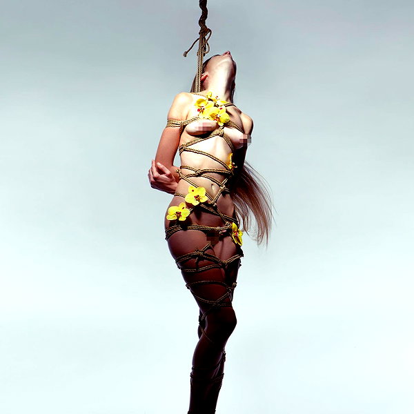 aaronmcpolin instagram image archive image
