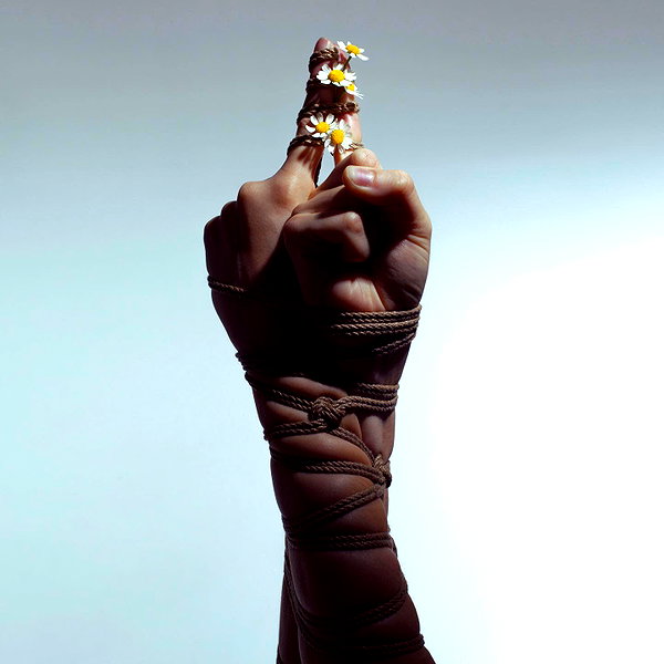 aaronmcpolin instagram image archive image