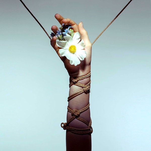 aaronmcpolin instagram image archive image