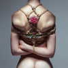 aaronmcpolin Altpins Profile Picture