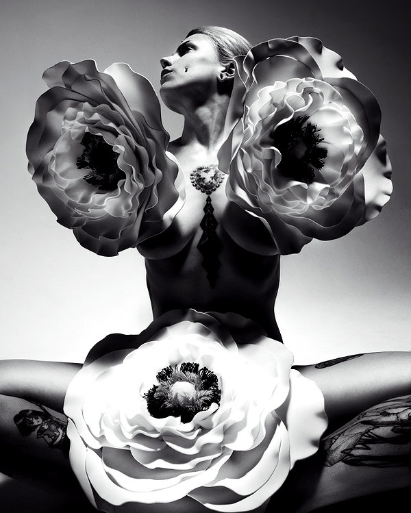 aaronmcpolin instagram image archive image