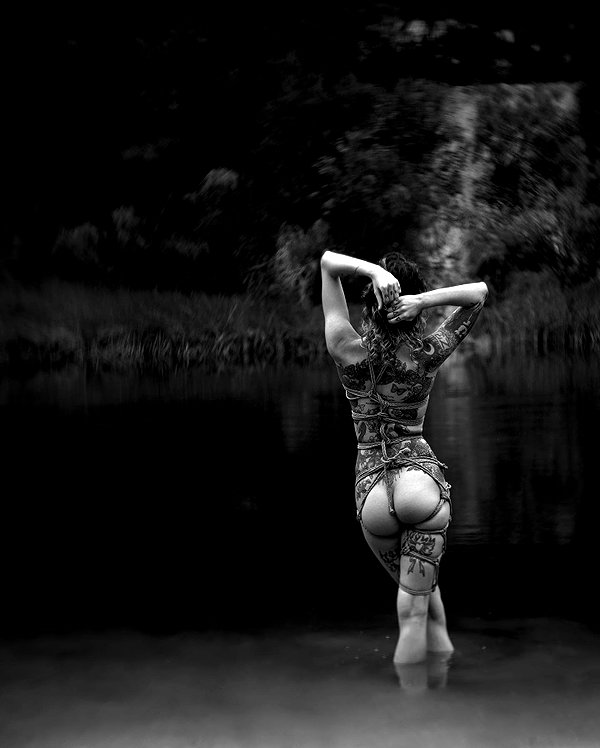 aaronmcpolin instagram image archive image