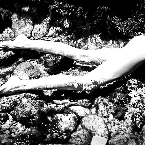 aaronmcpolin instagram image archive image