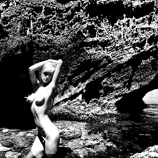 aaronmcpolin instagram image archive image