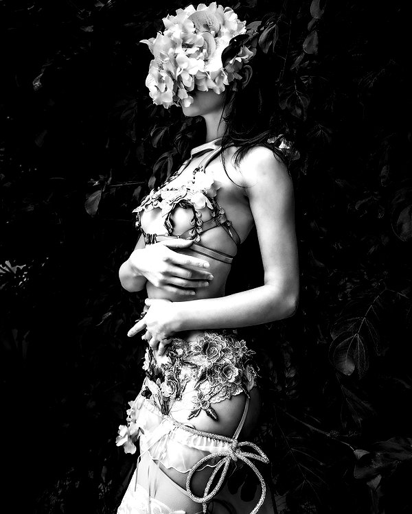 aaronmcpolin aaronmcpolin archive image