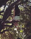 adel__s_ Altpins Profile Picture