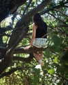 adel__s_ Altpins Profile Picture