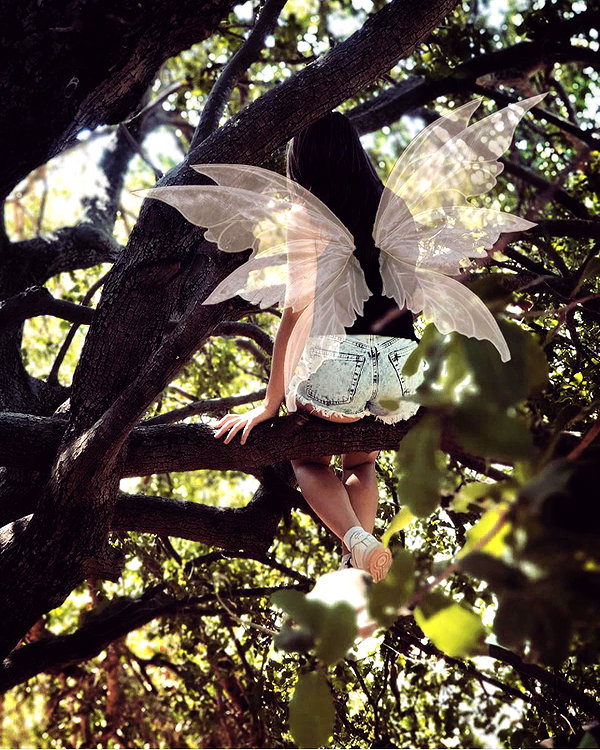 adel__s_ instagram image archive image