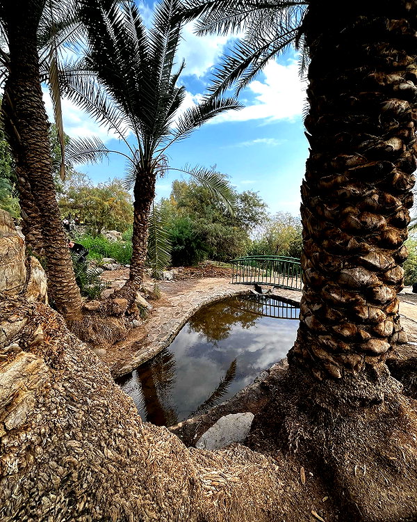 adel__s_ instagram image archive image