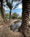 adel__s_ Altpins Profile Picture