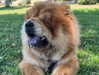 adel__s_ Altpins Profile Picture