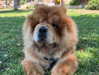 adel__s_ Altpins Profile Picture