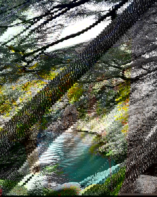 adellepisar adellepisar archive image