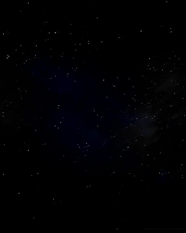 adellepisar adellepisar archive image