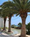adidahan_2 Altpins Profile Picture