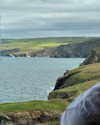 aimeejaihall Altpins Profile Picture