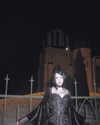 akirabloodsucker Altpins Profile Picture