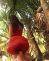 alenittta Altpins Profile Picture