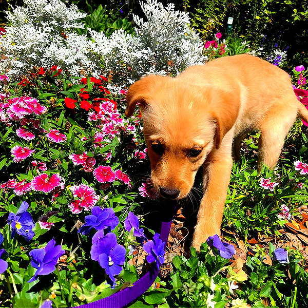 alenittta instagram image archive image