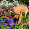 alenittta Altpins Profile Picture