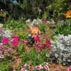 alenittta Altpins Profile Picture