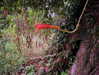 alenittta Altpins Profile Picture