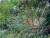 alenittta Altpins Profile Picture