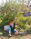 alenittta Altpins Profile Picture