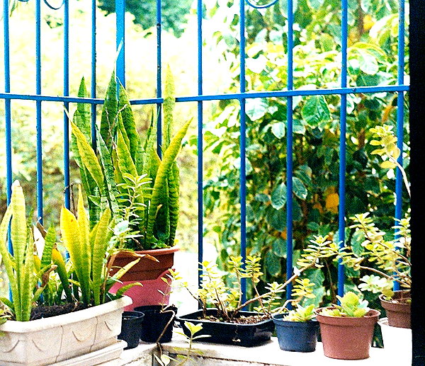alenittta instagram image archive image