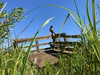 alenittta Altpins Profile Picture