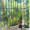 alenittta Altpins Profile Picture
