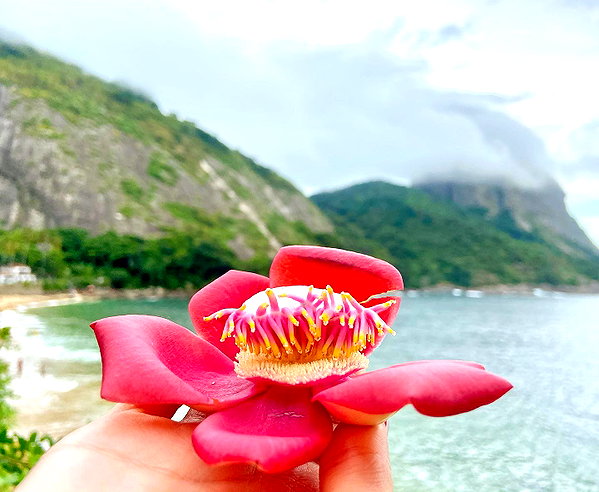 alenittta instagram image archive image