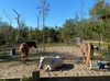 alenittta Altpins Profile Picture