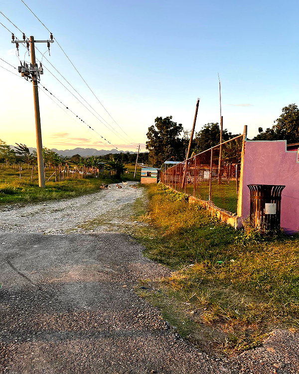 alenittta instagram image archive image