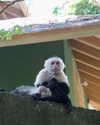alenittta Altpins Profile Picture