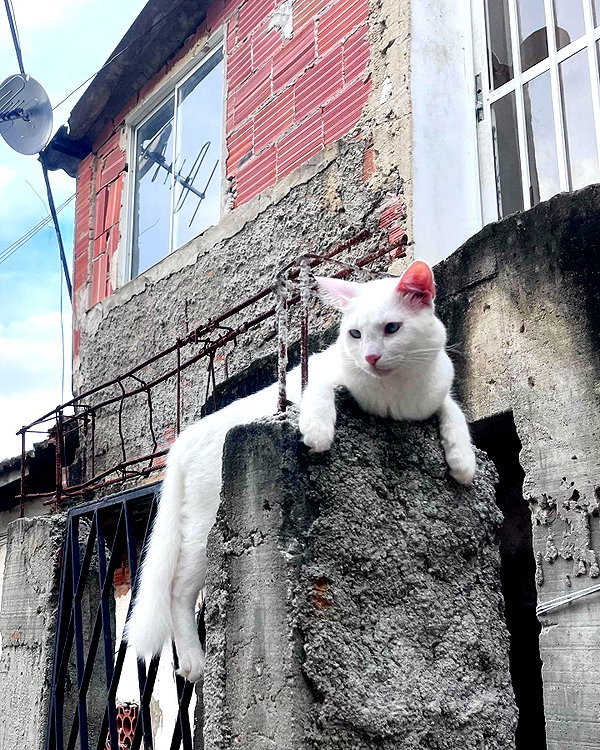 alenittta instagram image archive image
